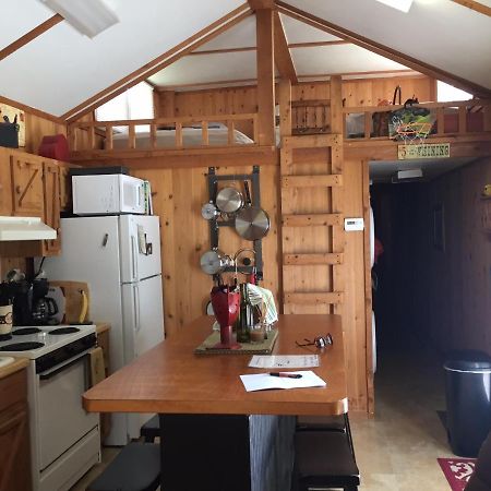 Cozy Cabin On The Bayou Maurepas Bagian luar foto