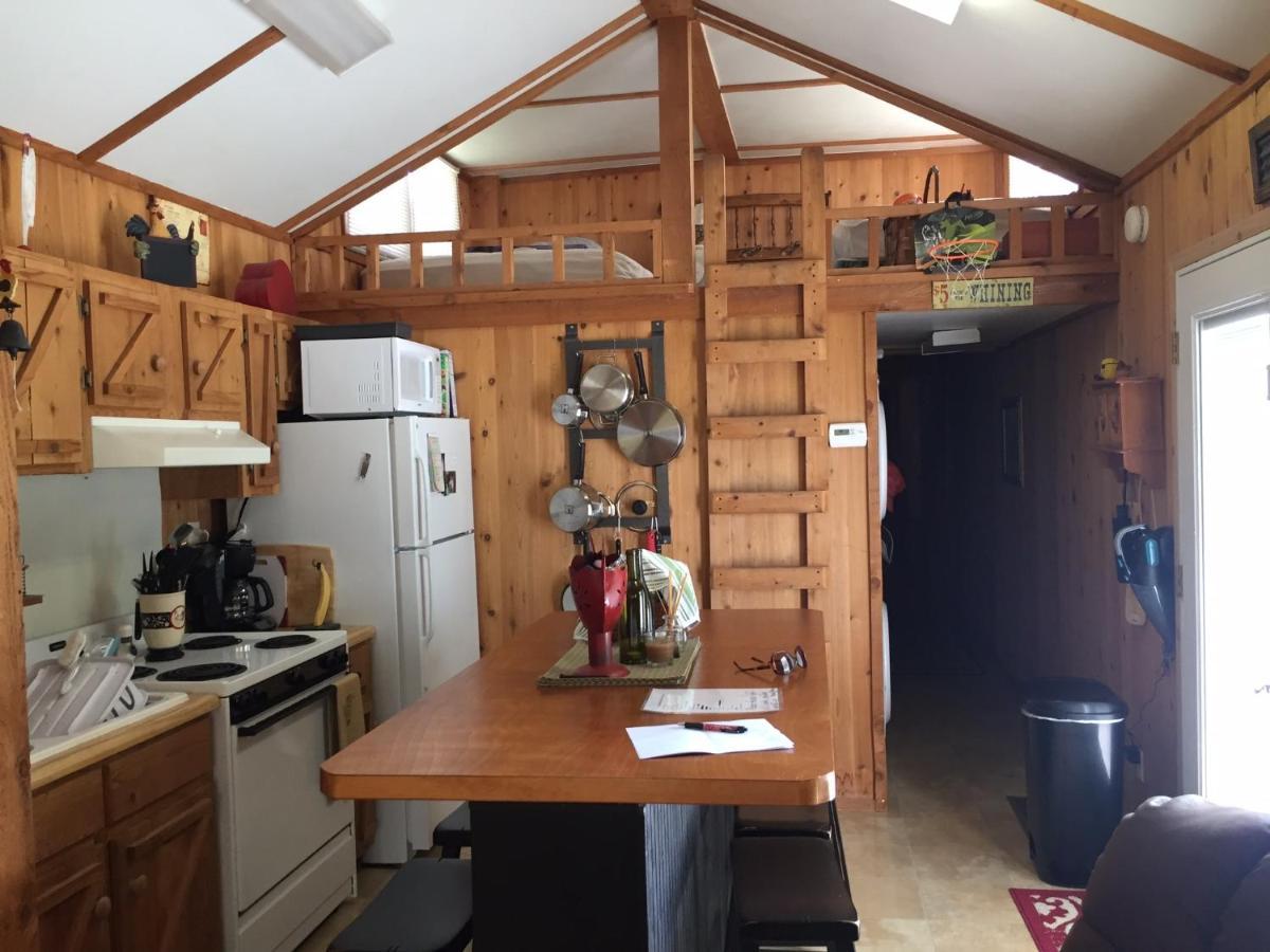 Cozy Cabin On The Bayou Maurepas Bagian luar foto