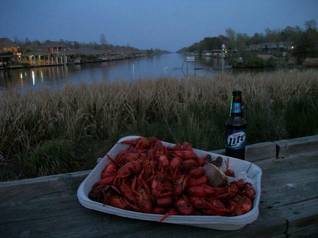Cozy Cabin On The Bayou Maurepas Bagian luar foto