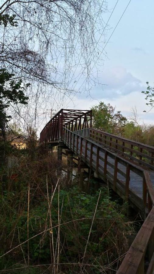 Cozy Cabin On The Bayou Maurepas Bagian luar foto